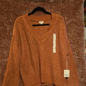 Aritzia V-Neck Sweater in Warm Rust